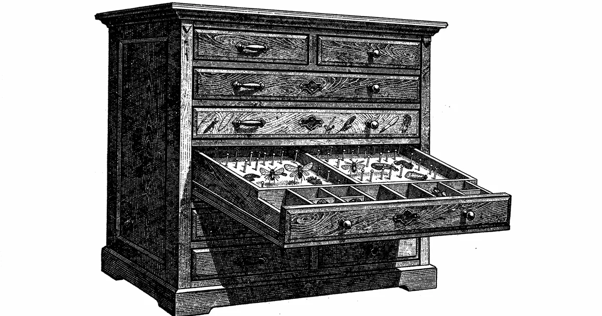 Victorian wood-engraving of a cabinet of labelled specimen drawers, one drawer open, monochrome